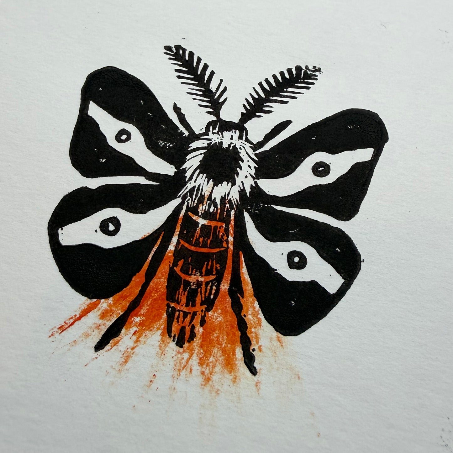 Buck Moth — Hand-Pulled Linocut Print