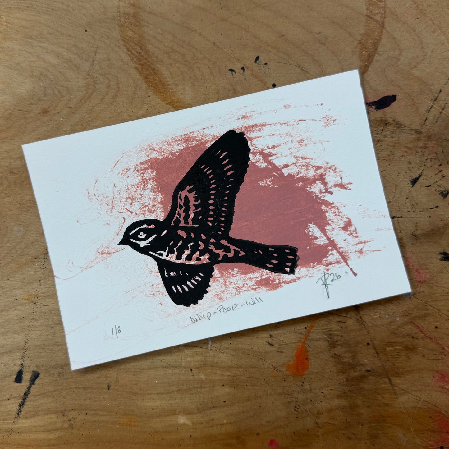 Eastern Whip-poor-will — Hand-Pulled Linocut Print