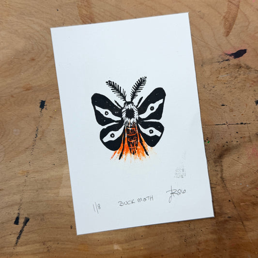 Buck Moth — Hand-Pulled Linocut Print