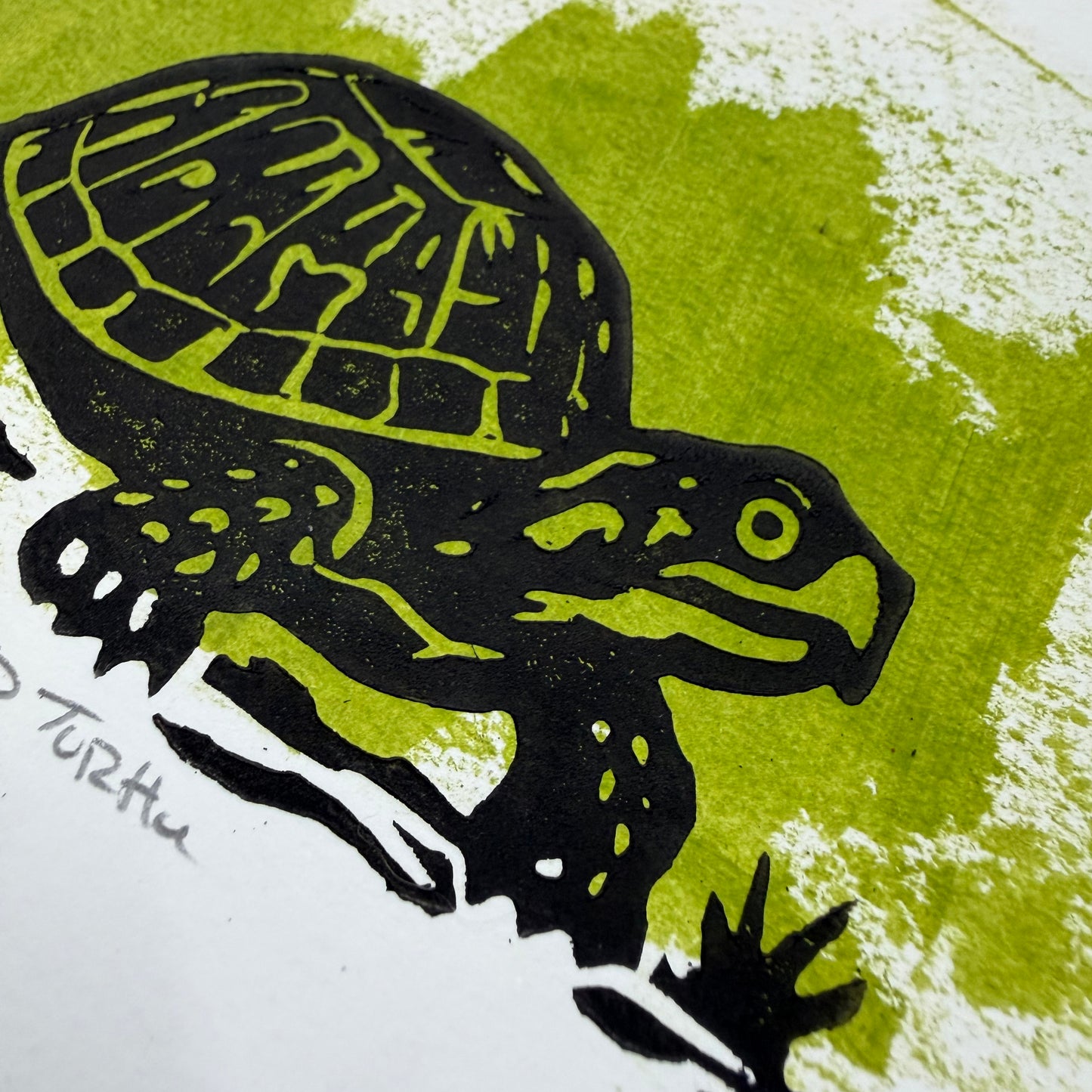 Eastern Box Turtle — Hand-Pulled Linocut Print