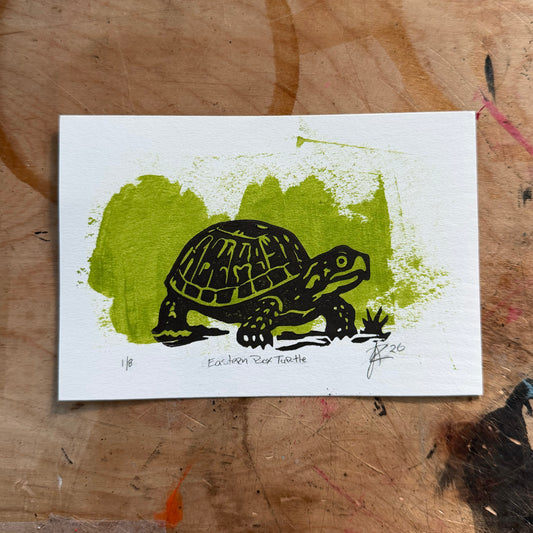Eastern Box Turtle — Hand-Pulled Linocut Print